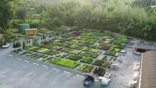 Drone Shot Of Plants And Flowers For Sale With Green Shrubs In The Background In Plants Nursery