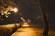 Stadtpark - Nacht - Park - Zossen - Brandenburg - Deutschland - Teltow Fläming - City - Night - Lantern - Germany -  Trees - Street Lights - Autumn -  Streetlamps