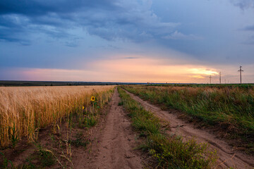 landscape, road, sky, field, nature, grass, clouds, countryside, country, summer, rural, path, green, cloud, sunset, tree, horizon, water, meadow, sunrise, hill, way, beach, outdoors, river