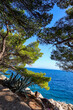 Croatia, photo of the insanely blue Adriatic Sea with a beautiful view
