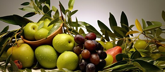 Wall Mural - In a beautifully lit studio, a white background provides a stark contrast to the vibrant green olive leaves and fresh fruits, isolated on a tree branch, showcasing the freshness of the food to be