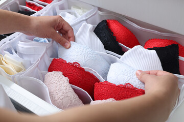 Wall Mural - Woman putting underwear into organizer in drawer, closeup