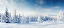 On A Beautiful Winter Day, The Snow-covered Forest Glistened Under The Blue Sky As Nature's Delicate Touch Transformed The Landscape Into A Stunning Christmas Scene, Where The White Trees And Icy Wood