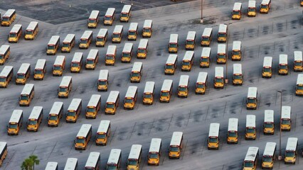 Wall Mural - Aerial view of many school buses parked on county parking lot in USA. American education system transportation