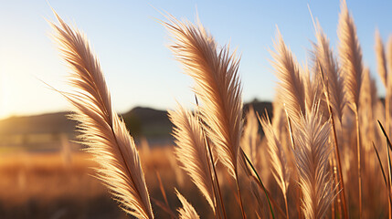 Sticker - golden wheat field