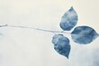 light colored leaf on blue cyanotype print. generative AI