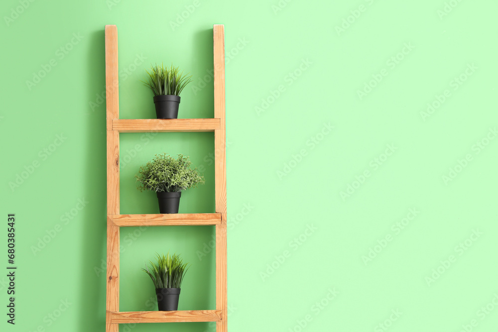 Wooden shelving unit with different houseplants near green wall
