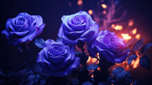 Purple Roses On Dark Background