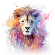 Lion Head Isolated On White