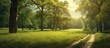 vintage landscape, the summer sky paints a vivid background as I travel through the serene nature, surrounded by luscious green grass and towering trees. The light filters through the leaves of the