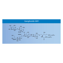 Molecular Structure Diagram Of Ganglioside GM1 - Monosialotetrahexosylganglioside Blue Scientific Vector Illustration.