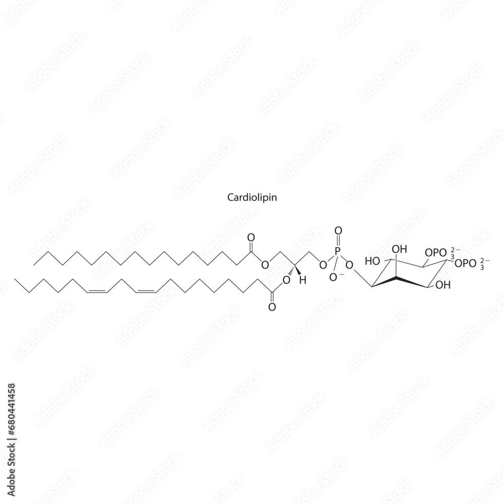Diagram showing schematic molecular structure of Cardiolipin Scientific ...