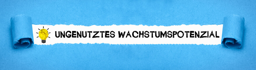 Poster - ungenutztes Wachstumspotenzial