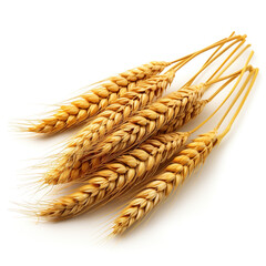 Wall Mural - Horizontal wheat ears isolated on a white background