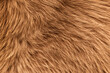 © Nameeta - texture of fur, brown texture, brown background
