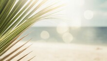 Blur Beautiful Nature Green Palm Leaf On A Tropical Beach With Bokeh Sun Light Abstract Texture Background.