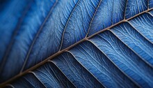 Blue Leaf Texture Background.