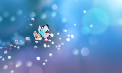 Wall Mural - beautiful blue butterfly in flight over branch of flowering tree in spring at sunrise on light blue 