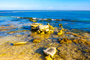 Wall Mural - Stones rocks corals turquoise green blue water on beach Mexico.