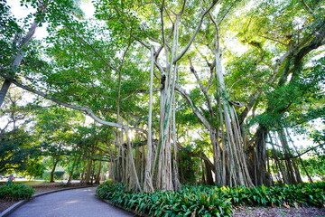 Wall Mural - Sarasota, FL, USA - 11 12 2023: The landscape of Ringling museum in Florida	
