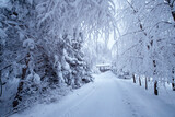 Fototapeta Fototapety do pokoju - Krajobraz zimowy w górach, białe zaśnieżone drzewa