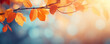 Beautiful yellow and orange autumn leaves on a branch on a sunny day in the park. Autumn banner. Sunny indian summer day