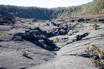 Wall Mural - Hawaii Island