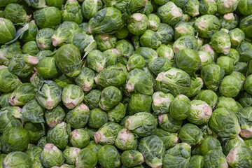 Wall Mural -  close up on Brussel sprout as vegetable background