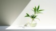  a white vase with a green plant in it on a white surface with a shadow of a light coming from the back of the vase and a white wall behind it.