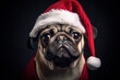 pug dog in a christmas cap, generative ai 