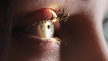 Wall Mural - Close-up of a young woman having her vision tested on an ophthalmology diagnostic vision testing equipment. Professional ophthalmological apparatus.