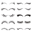 © Anna Syvak - Eyelashes Set Isolated On White Background. Variety Of Lashes In Different Lengths And Styles, Enhancing Eyes