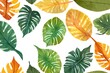 tropical leaves watercolor background, paper background with the imprint of tropical leaves