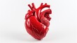 n anatomically correct  model of a human heart on a pure white background AI generated illustration