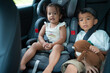 © themorningglory - Little child boy and girl sitting on carseta with seat belt safty traveltrip