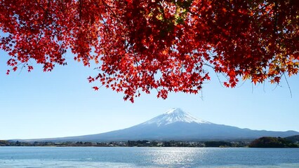 Wall Mural - 富士山と紅葉　河口湖 