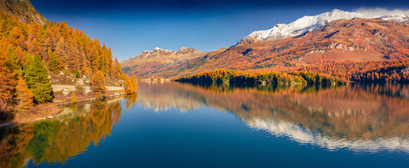 Wall Mural - panoramic autumn view of sils lake. colorful morning view of swiss alps, maloja region, upper engadi