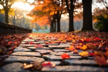 Colourful Autumn Leaves On Brick Pavement Floor At Fall. Dry Yellow Leaves Blur Maple Leaf On Wet Road, Urban City Street. October September Or November Weather Selective Focus On Asphalt Blurry Bokeh