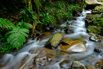 Wall Mural - a river in a village that is flowing with very calm water 