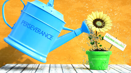 Perseverance grows overcoming challenges. A metaphor in which perseverance is the power that makes overcoming challenges to grow. Same as water is important for flowers to blossom.,3d illustration