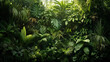 variety of beautiful green fresh tropical lush foliage with sunlight