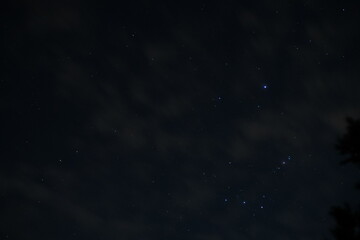 orion's belt