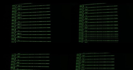 Wall Mural - software development and hacking concept. close-up of computer screen - modern electronic technologi