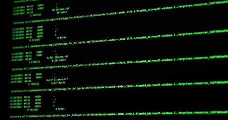 Wall Mural - software development and hacking concept. close-up of computer screen - modern electronic technologi
