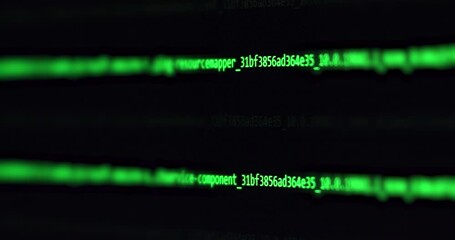 Wall Mural - software development and hacking concept. close-up of computer screen - modern electronic technologi