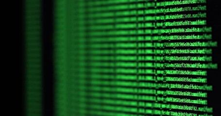 Wall Mural - software development and hacking concept. close-up of computer screen - modern electronic technologi