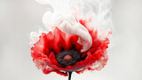 Fototapeta Kwiaty - Czerwony kwiat maku, dym abstrakcja. Color explosion