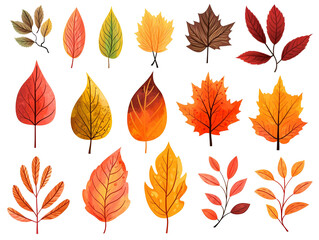 Wall Mural - collection set of hand-drawn leaves isolated on transparent or white background, png