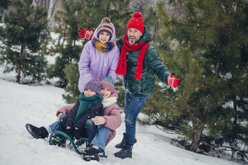 Poster - Full body portrait of full positive family have fun sledding pastime snowy forest outdoors