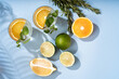 Summer orange cocktails with citrus fruits on blue background. Hard seltzer, lemonade, refreshing drinks, low alcohol mocktails, summer party concept. Trendy palm leaf shadow and sunlight, sun.